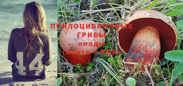 СК Алзамай