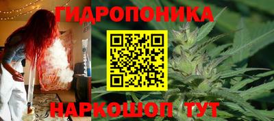 прущие грибы Краснокаменск