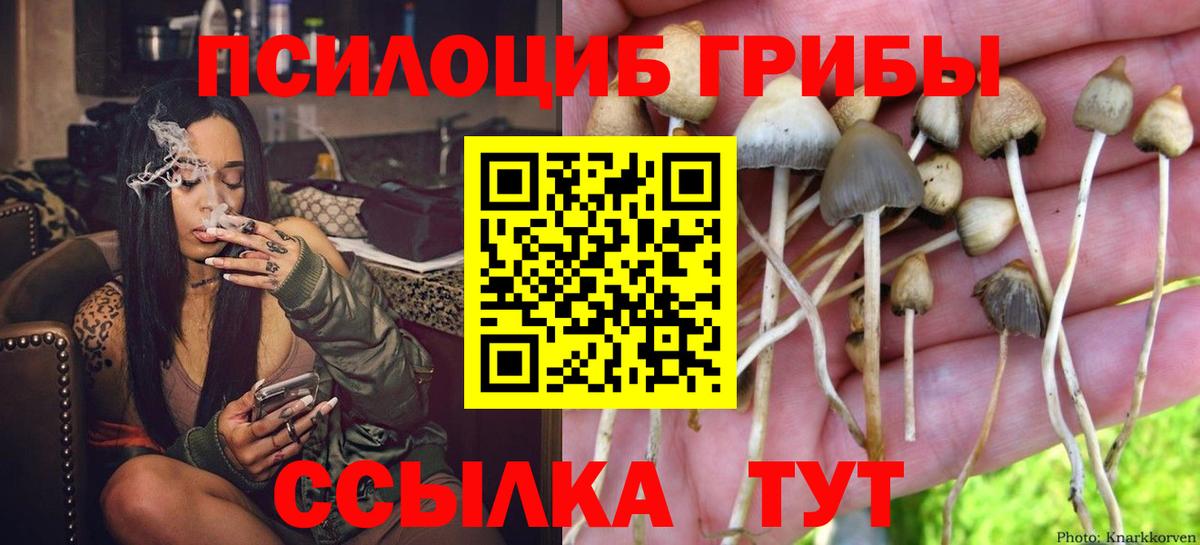 Галлюциногенные грибы мухоморы Углич