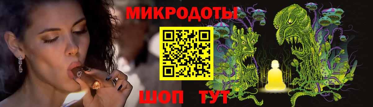 Галлюциногенные грибы Psilocybine cubensis  Вход с VPN  Псилоцибиновые грибы прущие грибы  Углич 